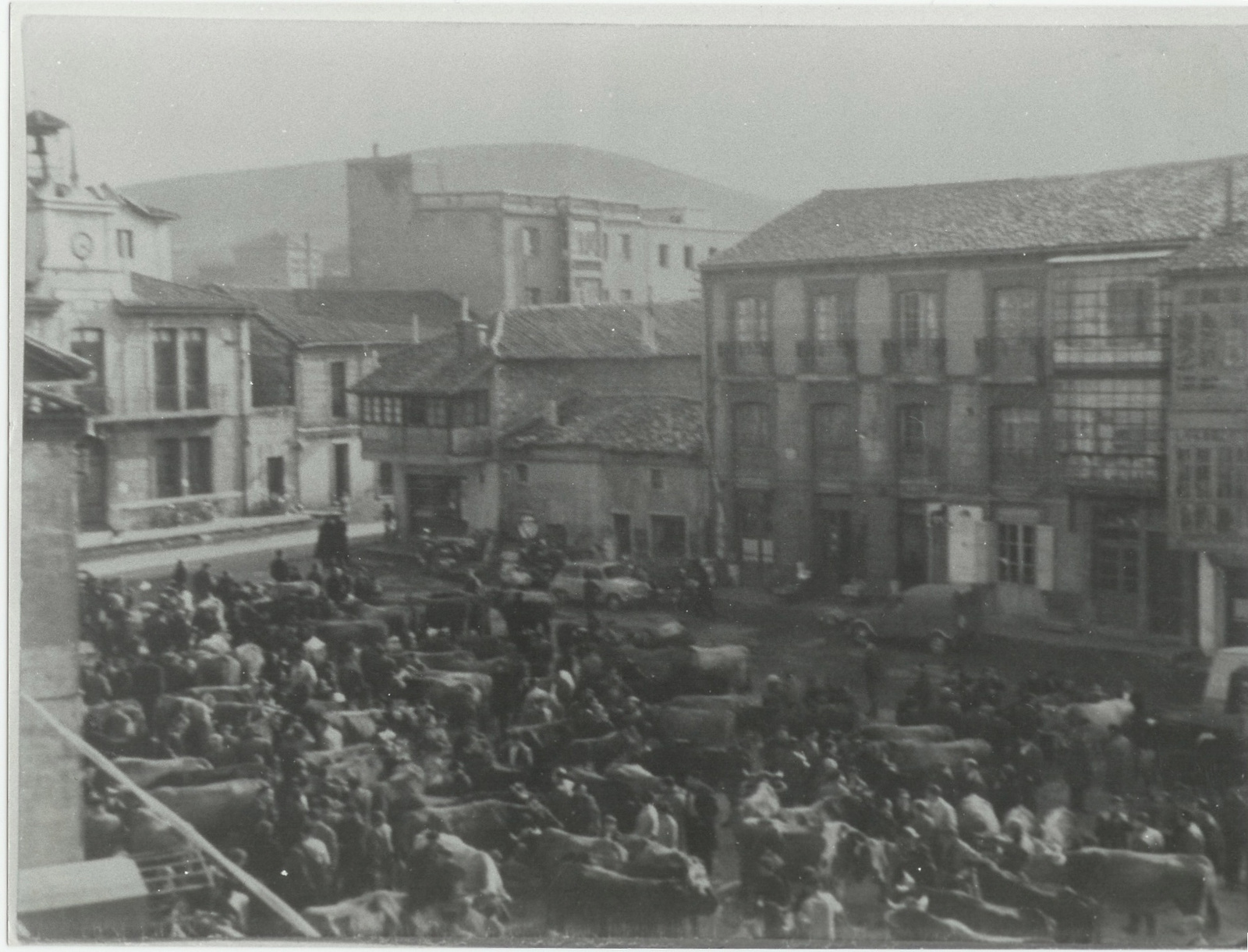 mercado de ganados en la plaza