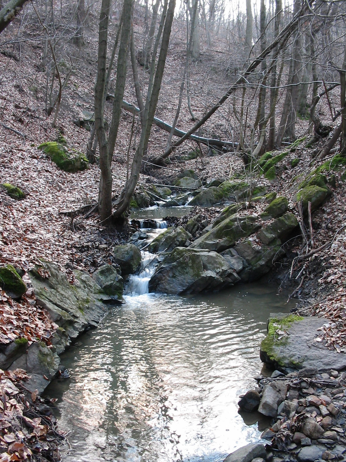 2011 01 22 H.Hetény-Pécs S. 023