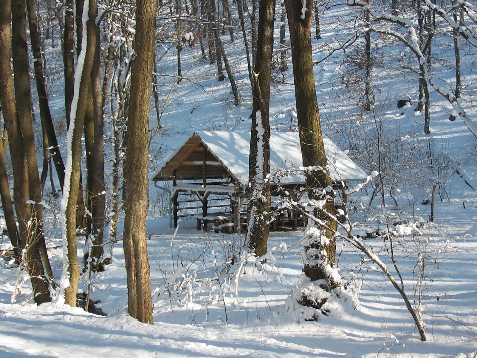 2010 02 02 Orfű-Égervölgy 038