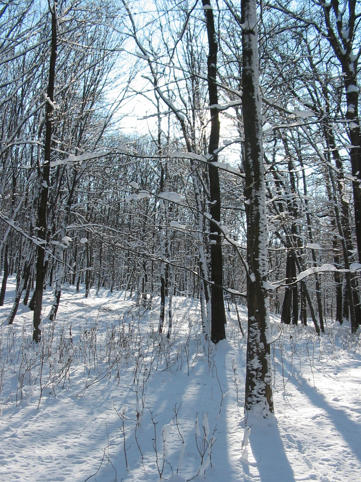 2010 02 02 Orfű-Égervölgy 042