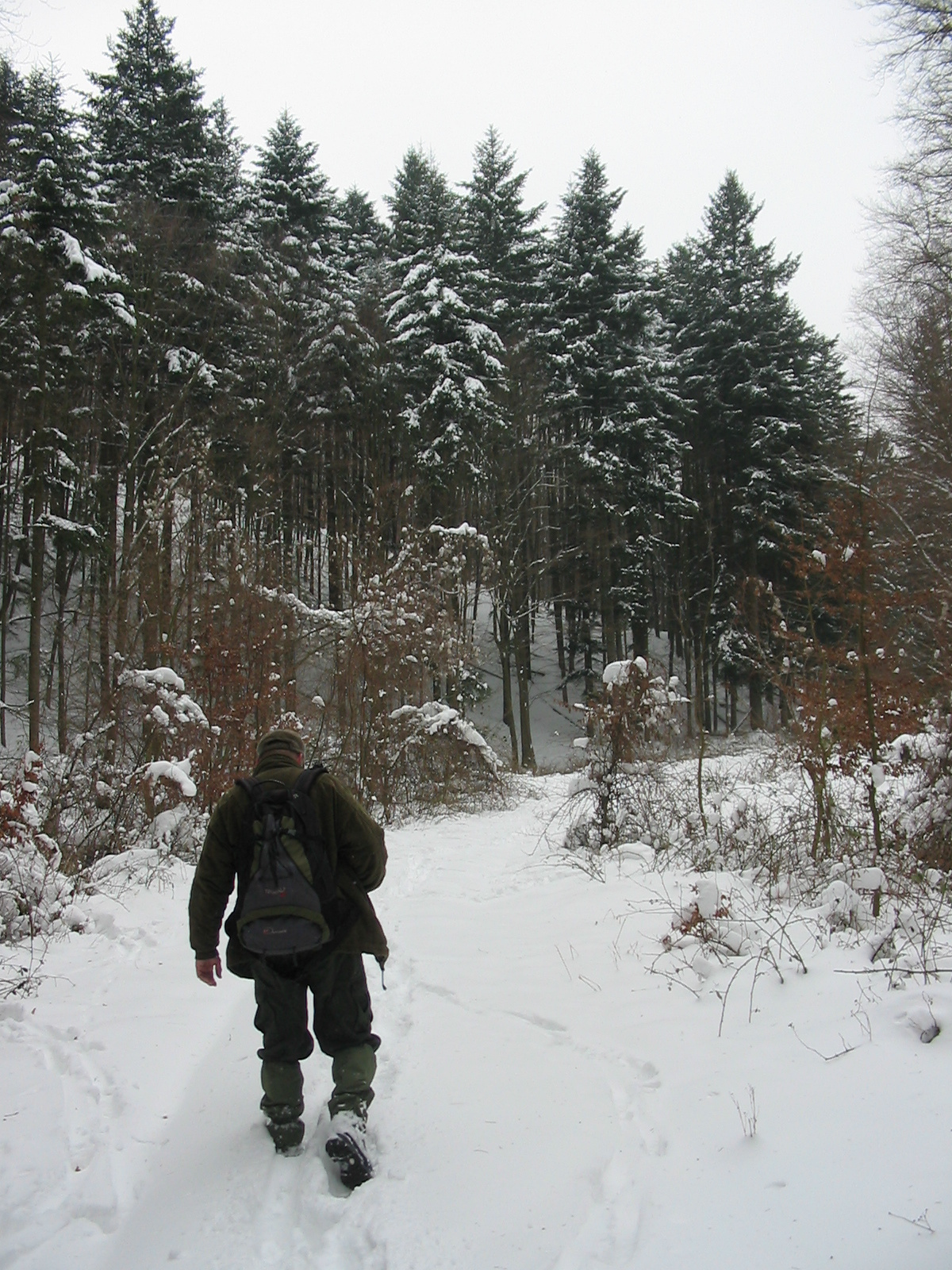 2010 02 15 Óbánya-Pécsvárad 121