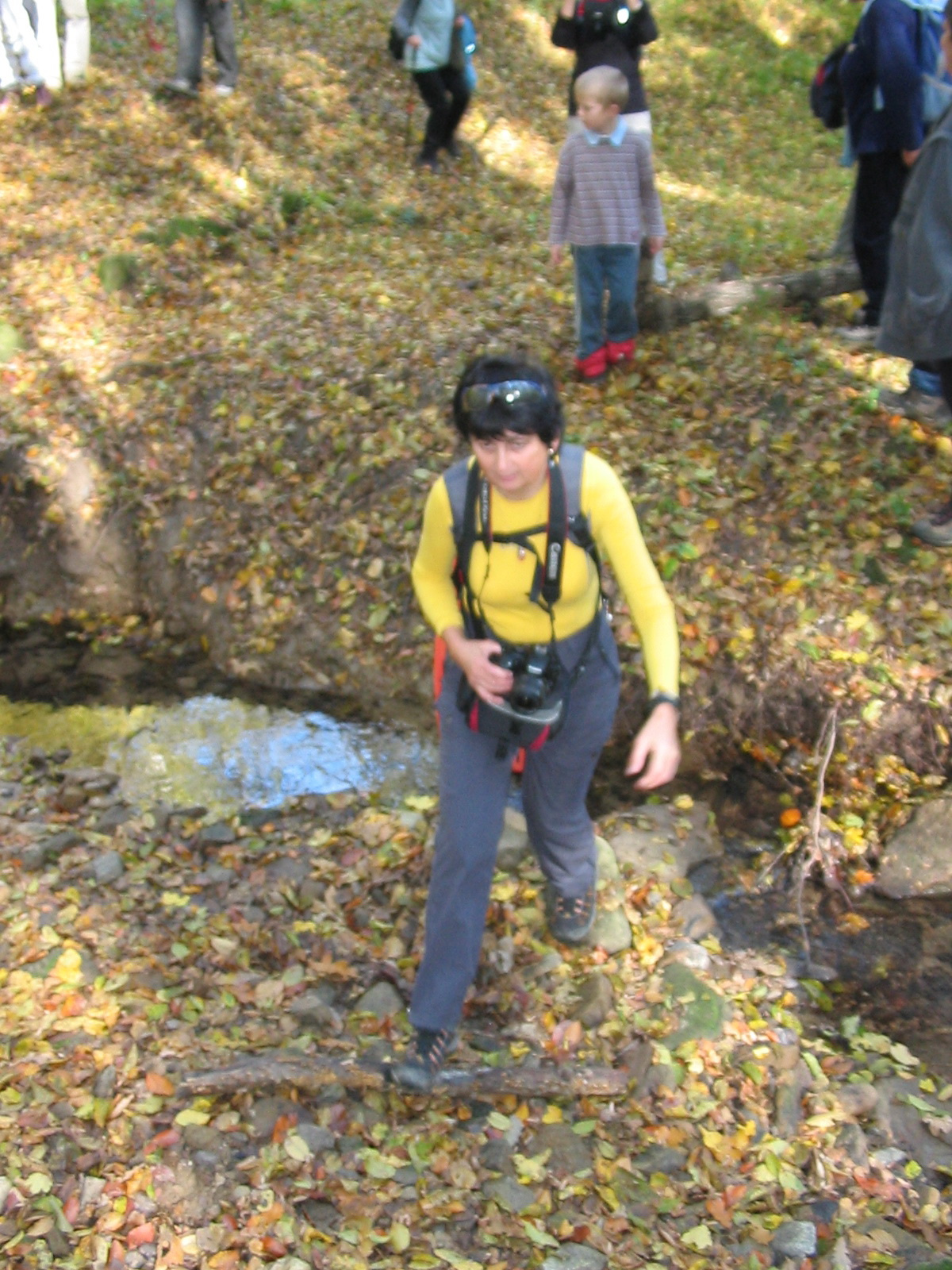 2010 10 23 Hosszúhetény -Szőlő 033