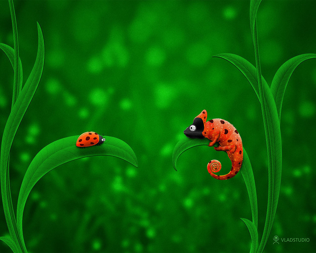 vladstudio ladybug and chameleon 1280x1024 121811