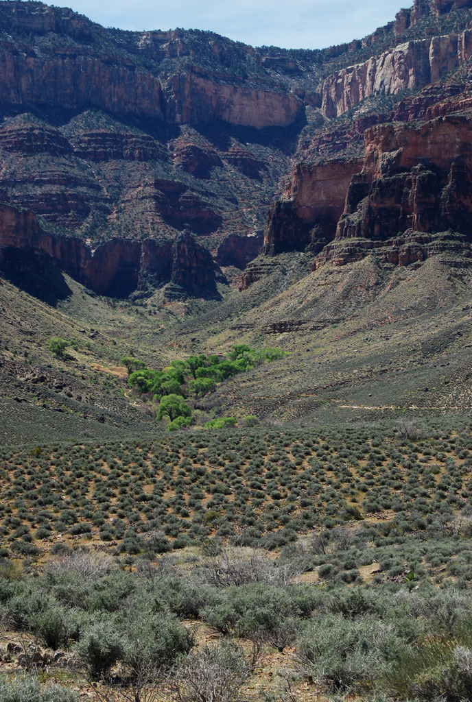 US 2011 Day14  082 Bright Angel Trail, Grand Canyon NP, AZ