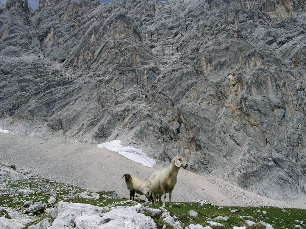 07250015 Wettersteingebirge, AT