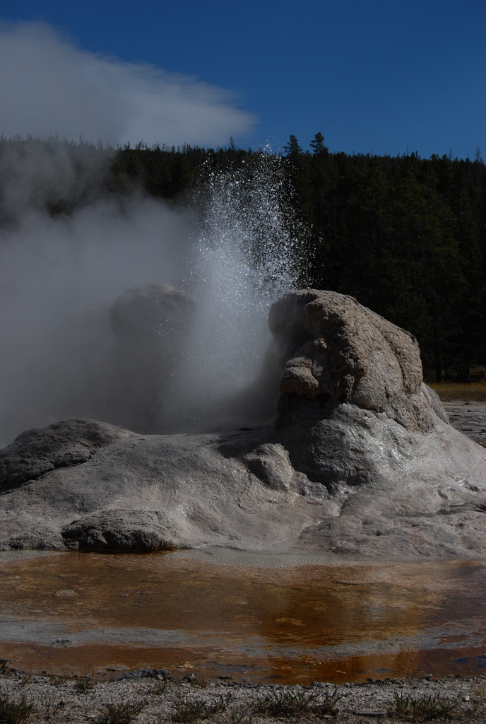 US 2010 Day08  098 Grotto Geyser, Yellowstone NP, WY