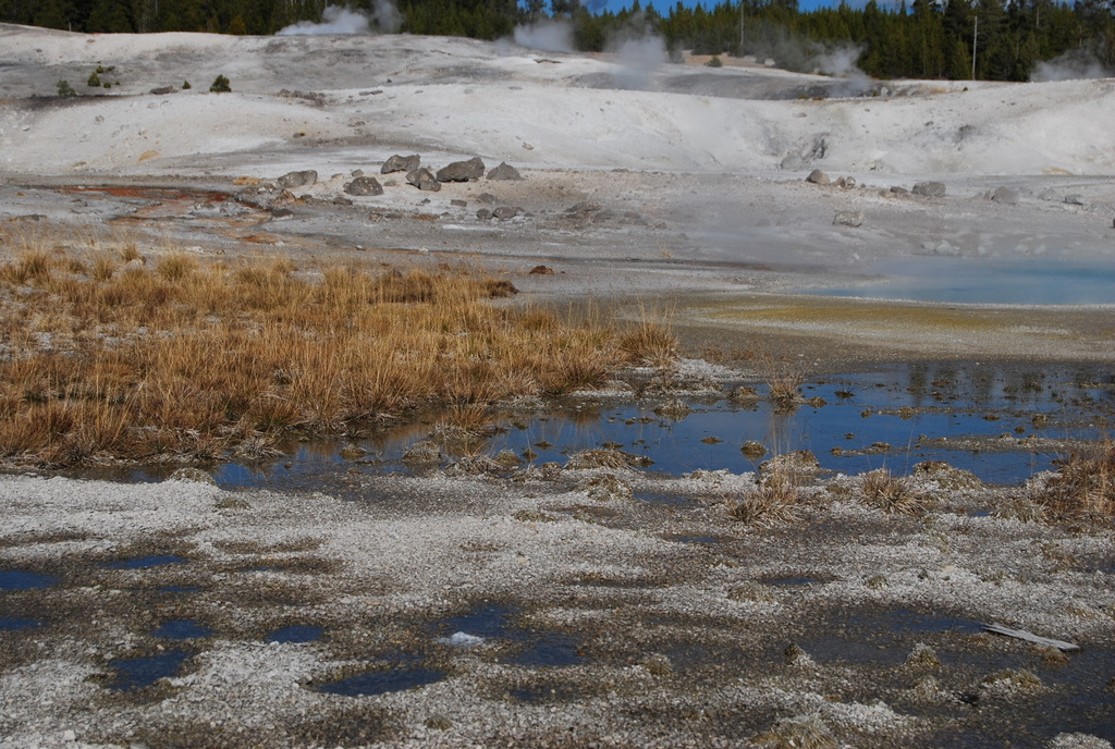 US 2010 Day10  106 Norris Geyser Basin, Yellowstone NP,WY