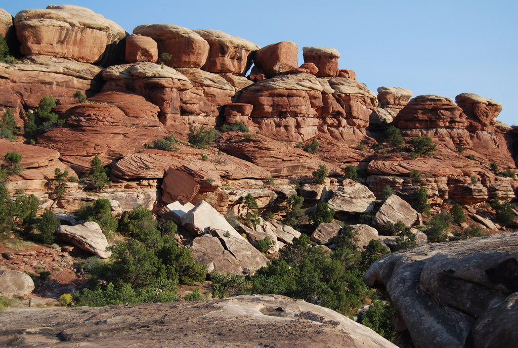 US 2010 Day20  002 Needles District, Canyonlands NP, UT