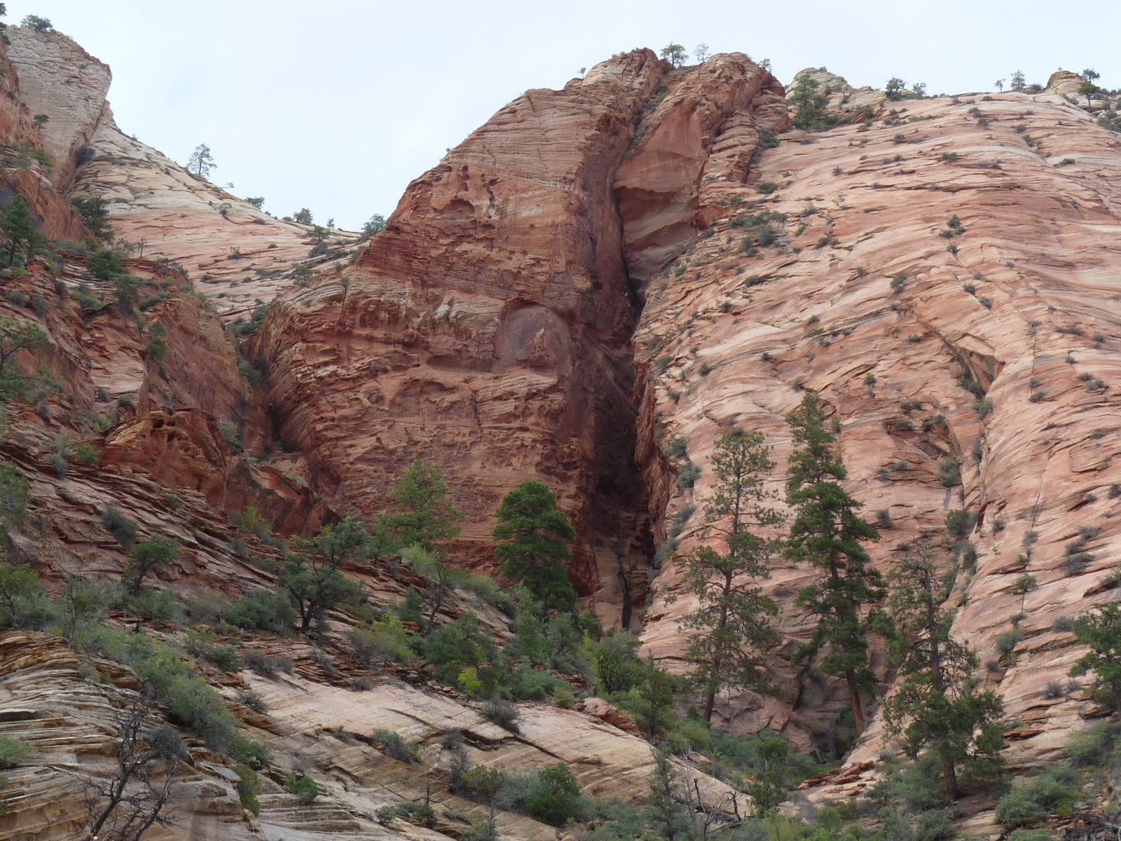 487Southwest Zion NP