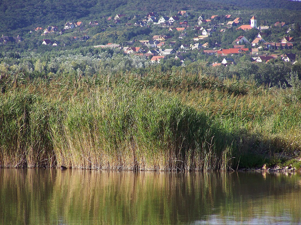 Sukoró