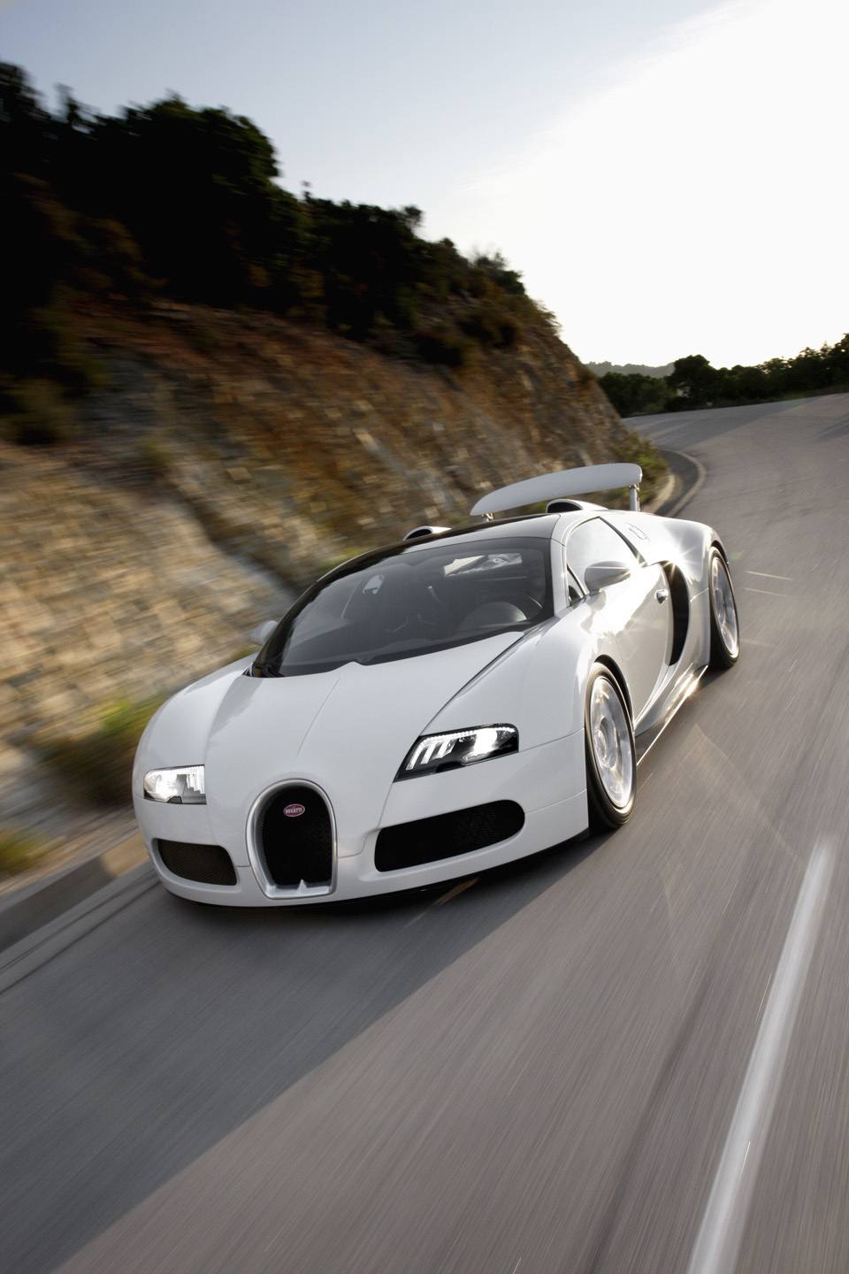 bugatti-veyron-grand-sport2
