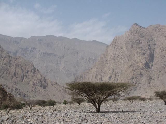 Wadi Khab A'Shamis (2) 1