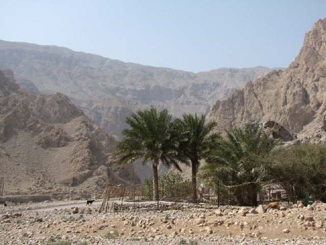 Wadi Khab A'Shamis (25) 1