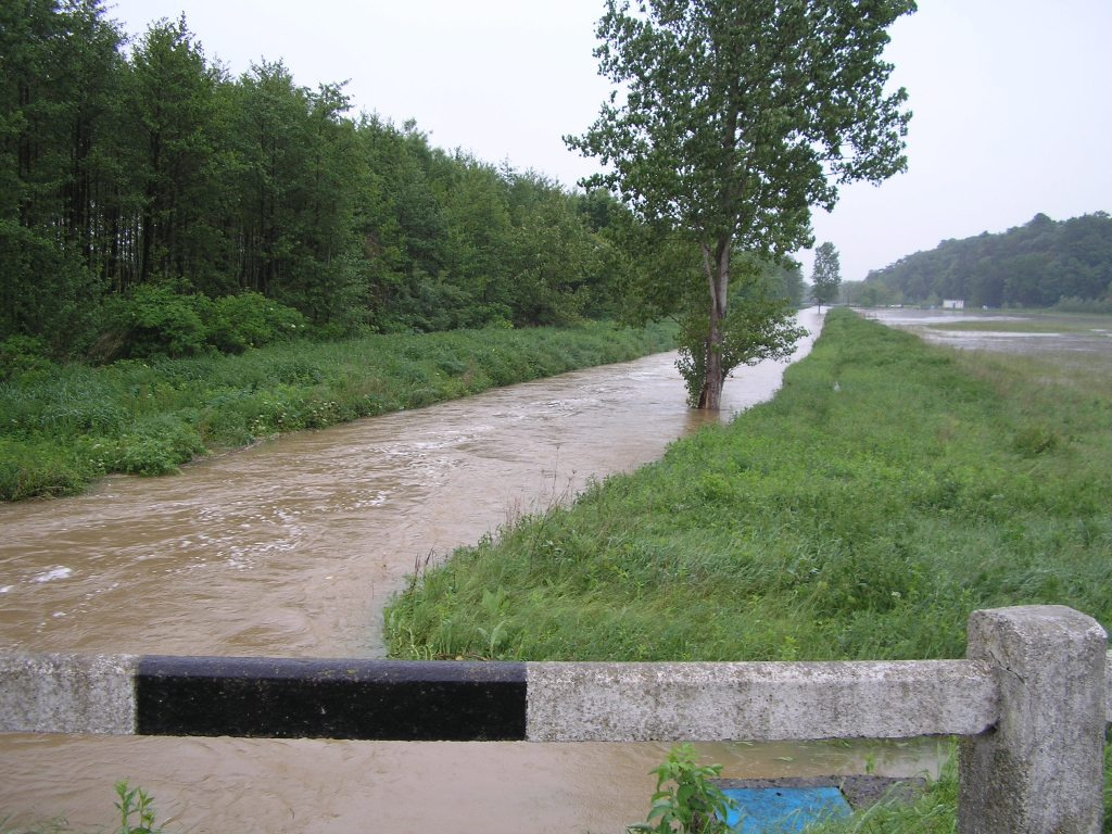 Árad a Kapos folyó 6