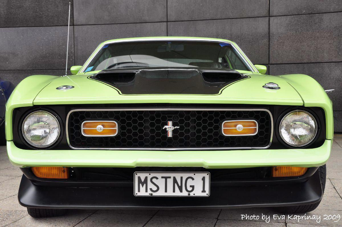 A Mustang