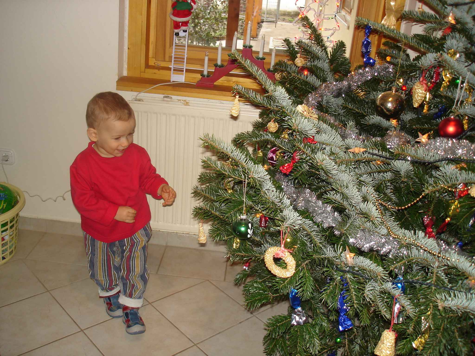 Nagyon bejön a karácsonyfa