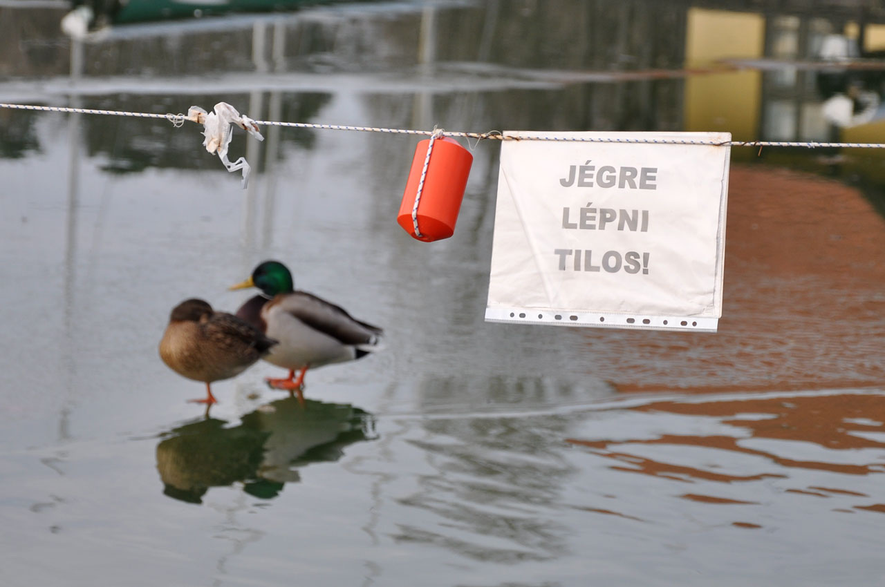 Biztos nem látták a táblát