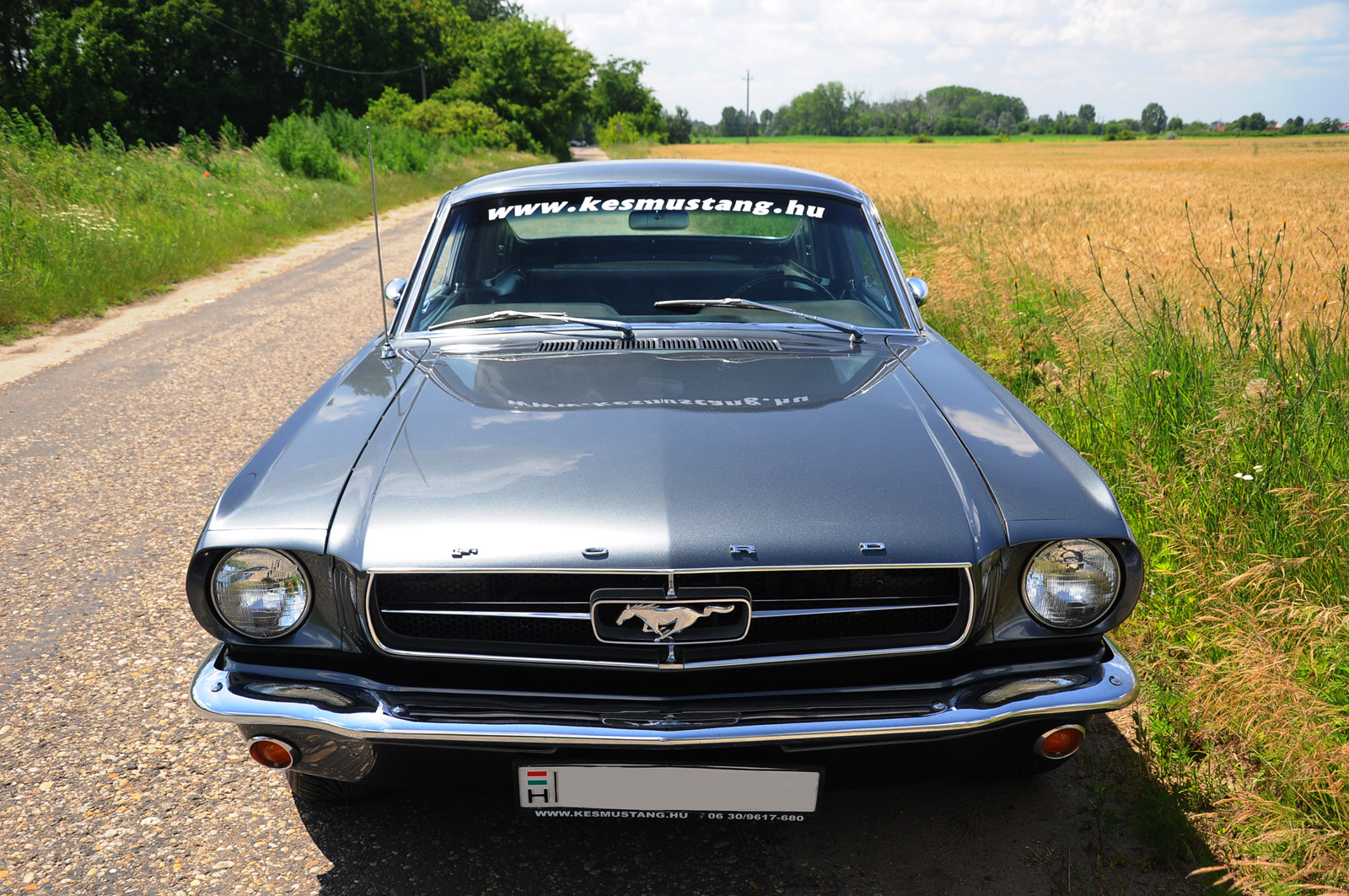 Ford Mustang Fastback