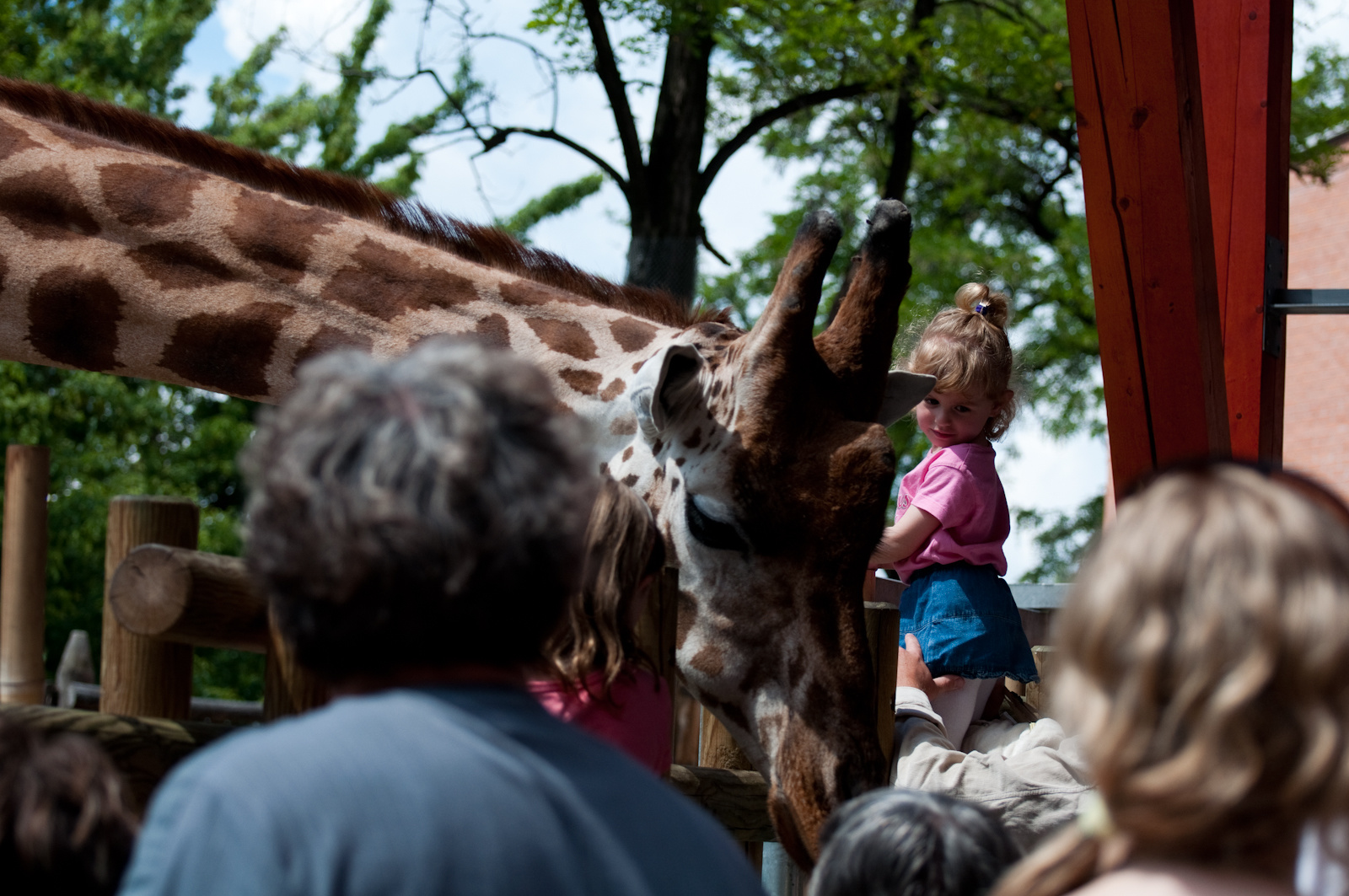 zoo2010-0080