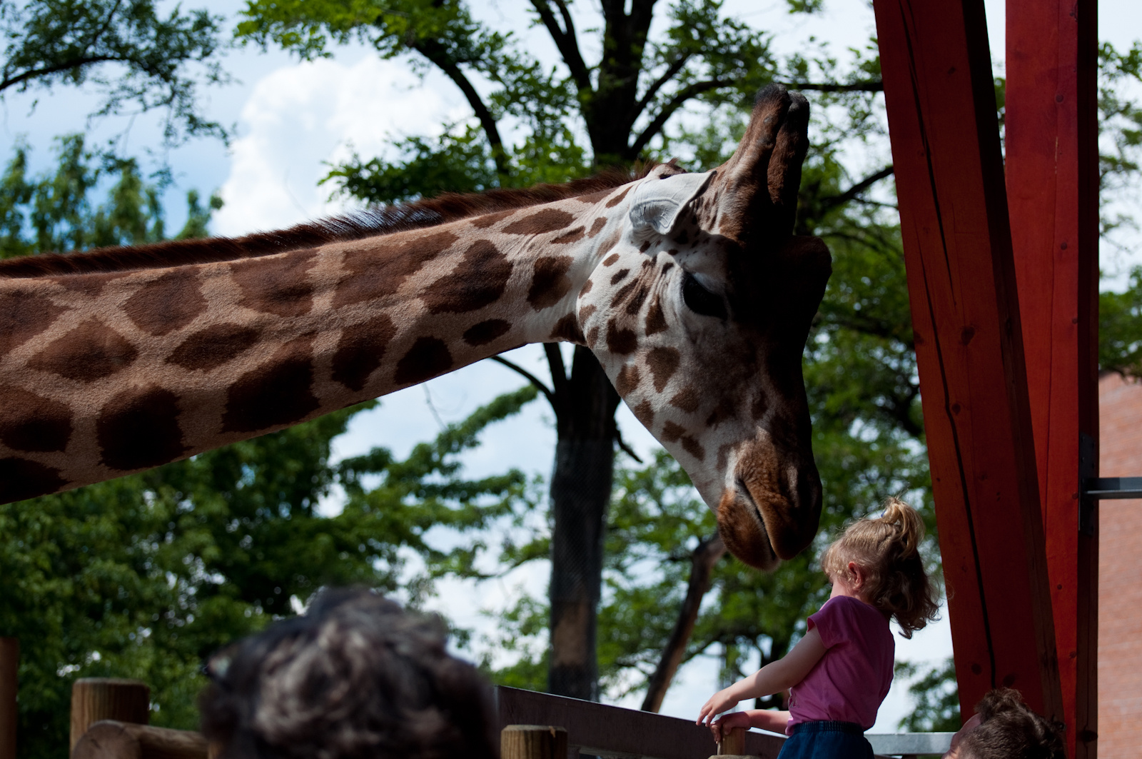 zoo2010-0081