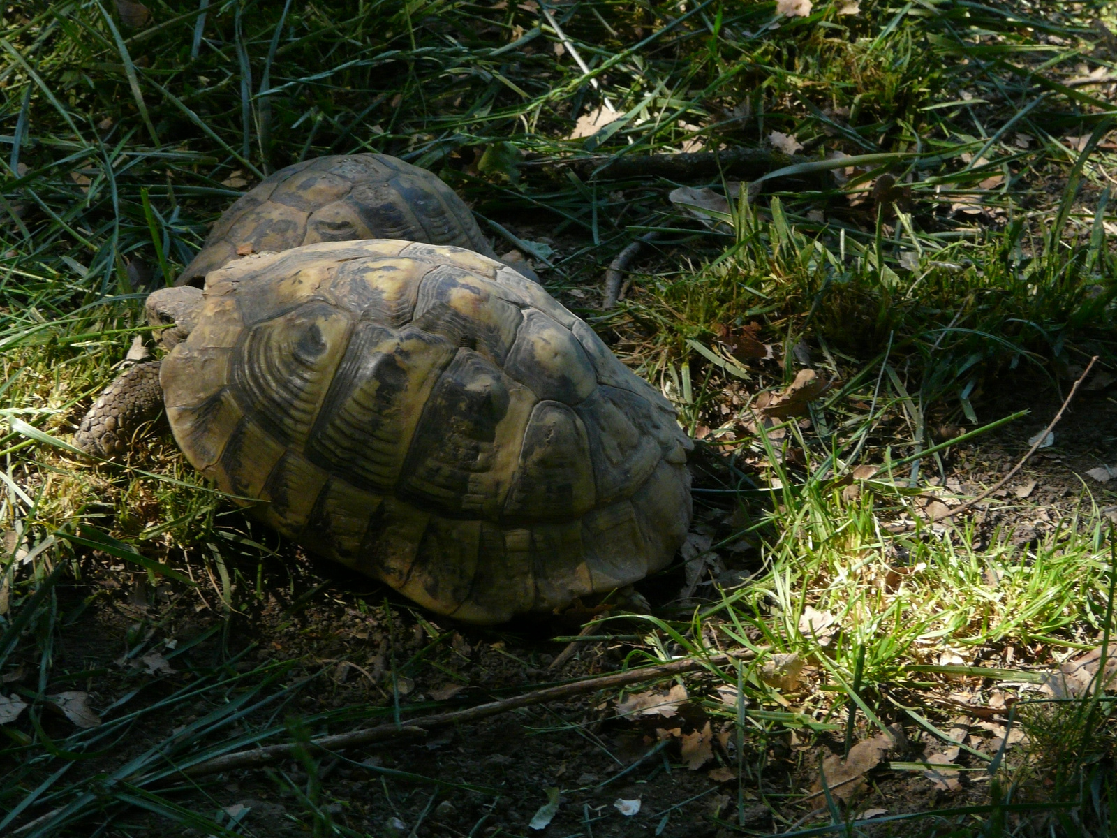 Osztálykirándulás 2009 074