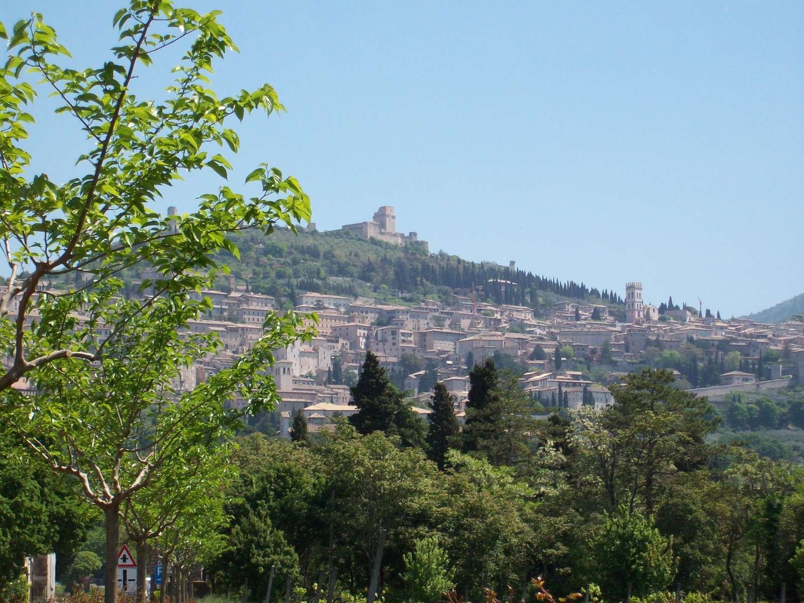 assisi03