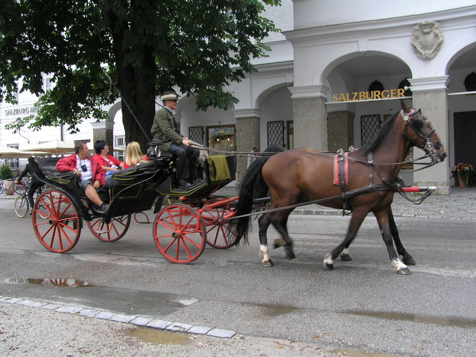 o 463 Salzburg