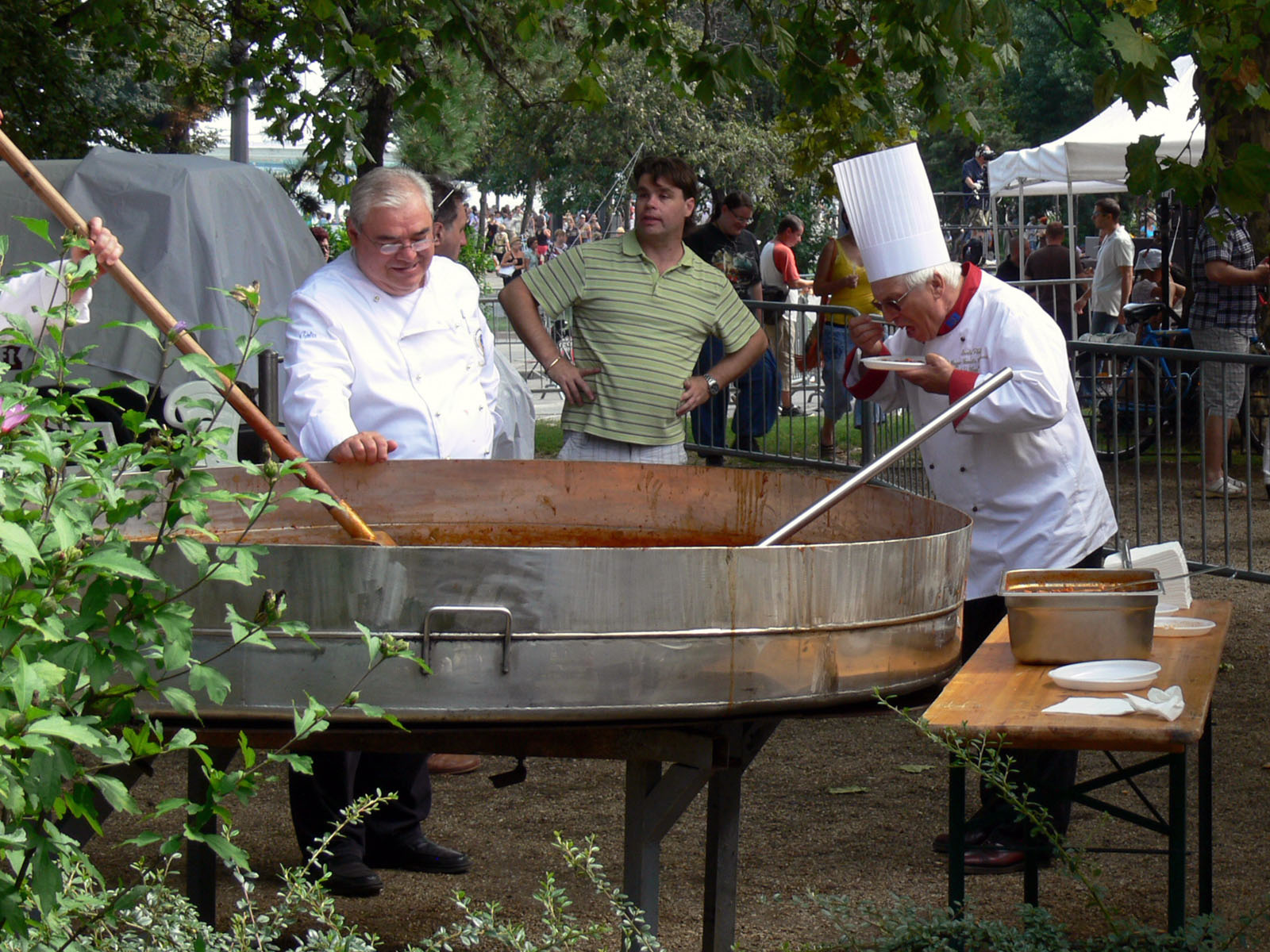 aug 20 - kozultáció