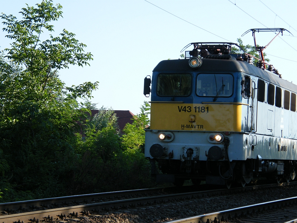 V43 1181