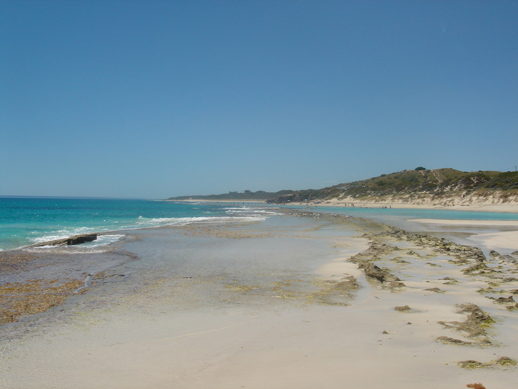 Australia 2007 -4- YANCHEP 397