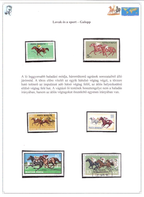 Lovak világa - 050103-lovak és a sport Galopp