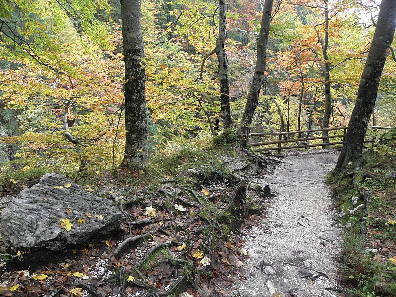 Triglav Nemzeti Park