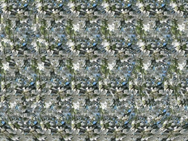 3d-kepek-sztereogram stereogram 00013