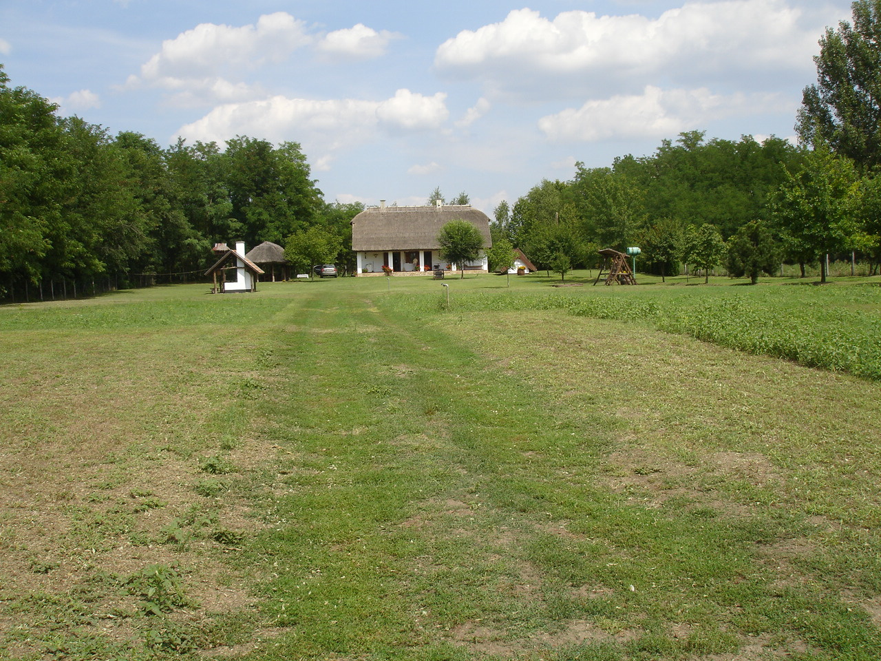 2009 0815 coursing kecskemet 046