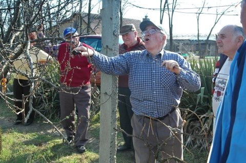 METSZÉS 2009.04.04. 031