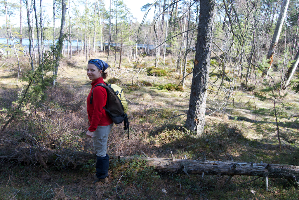 Tyresta nemzeti park - Arsjön