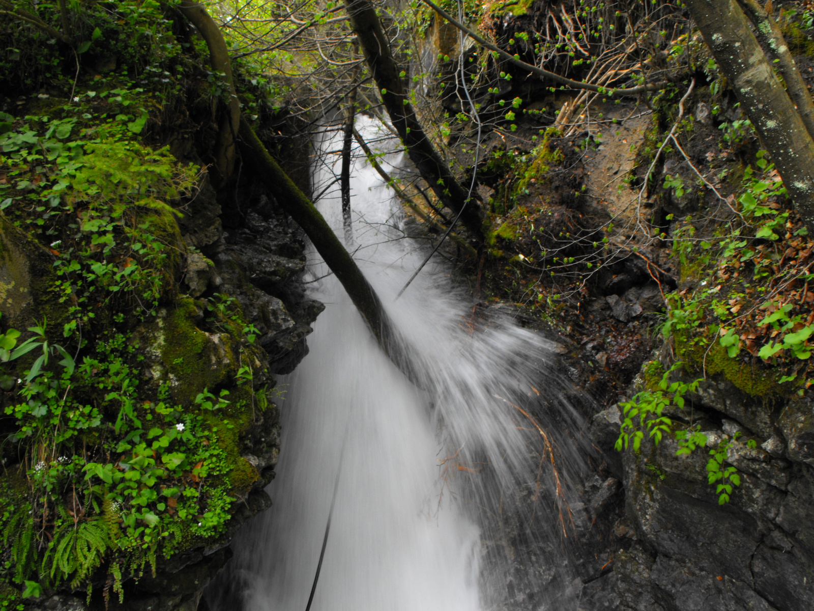 2010 0506 Slovenia 0251