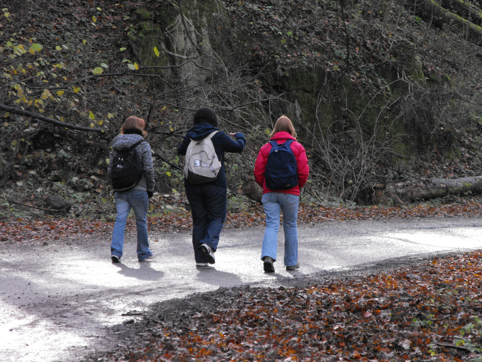 2010 1113 Visegrad 0005