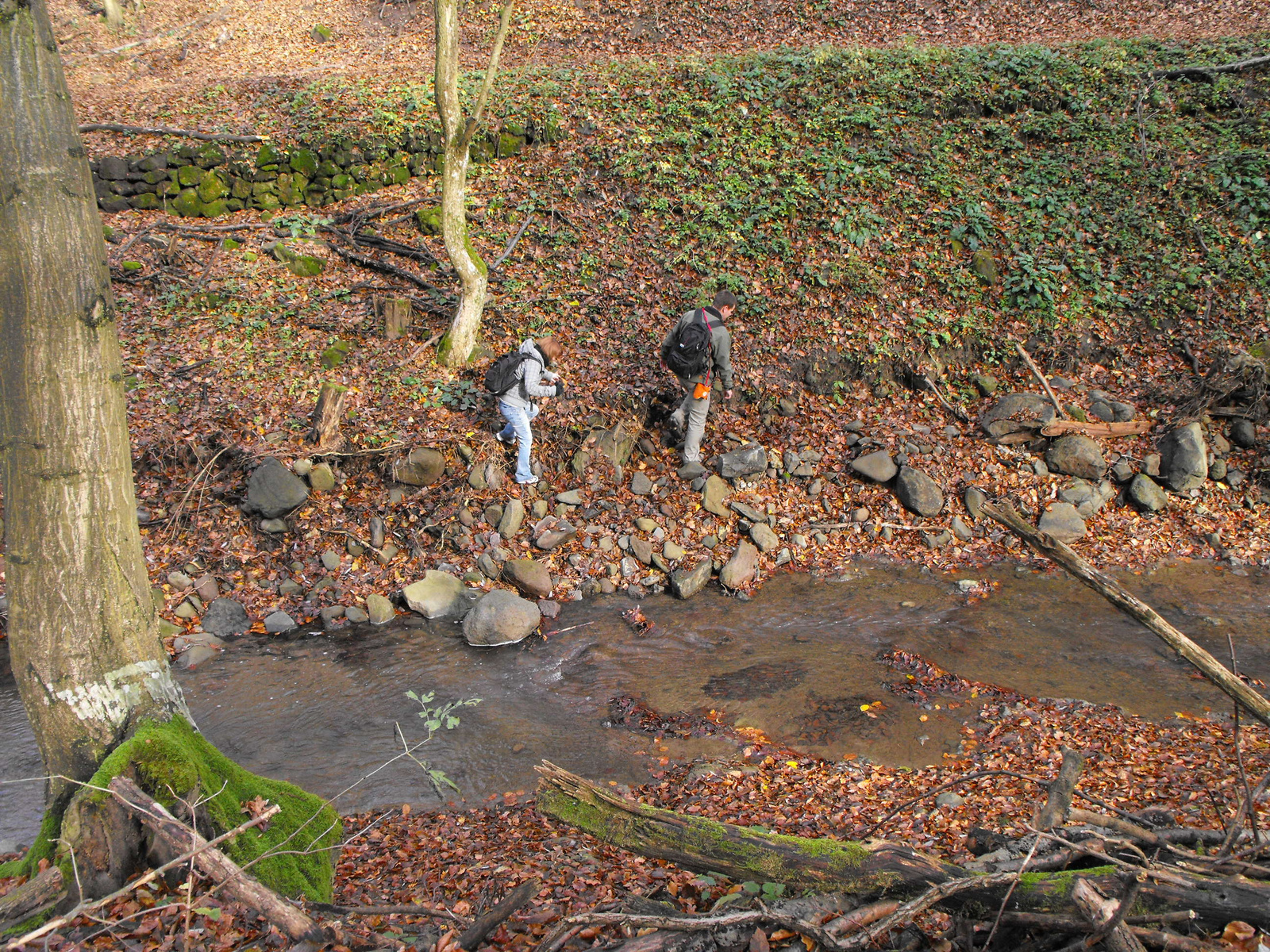 2010 1113 Visegrad 0009