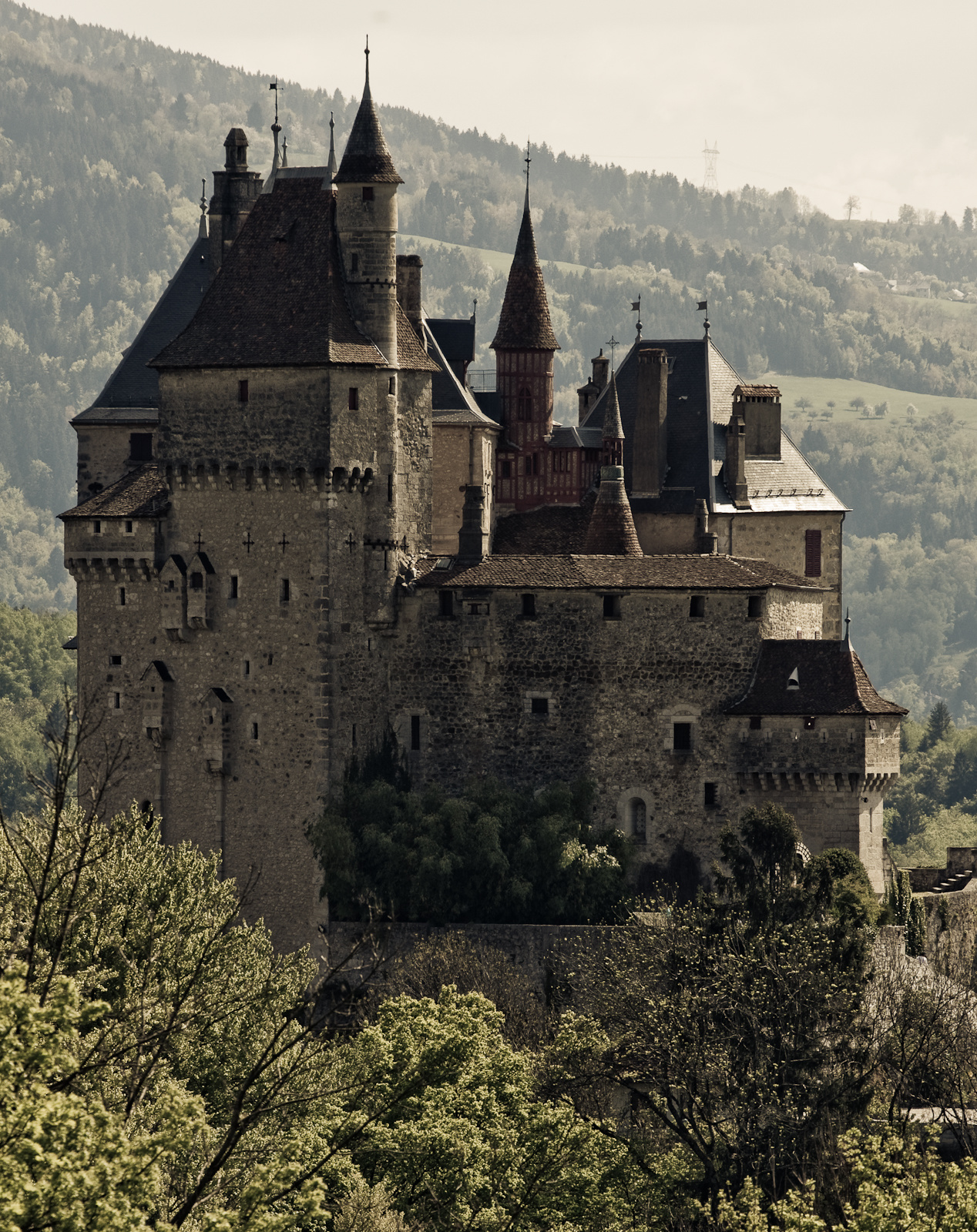 Chateau de Menthon Saint-Bernard-2