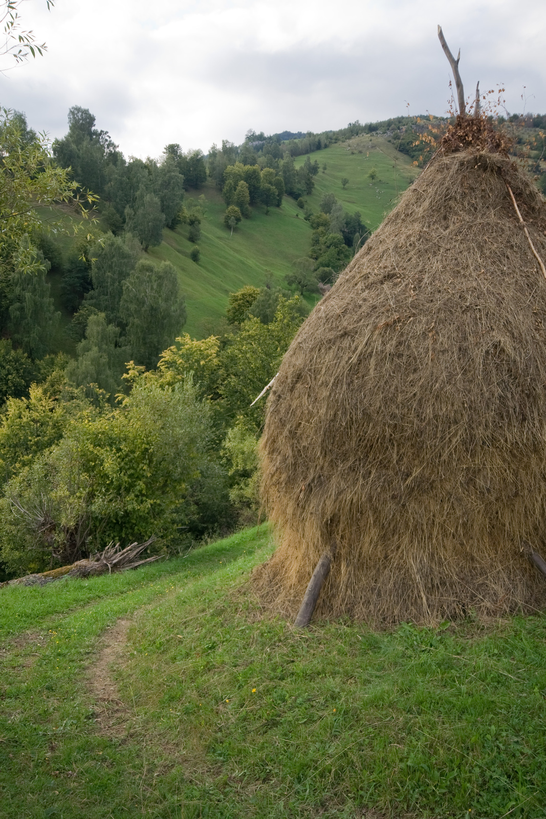 Bran környéke