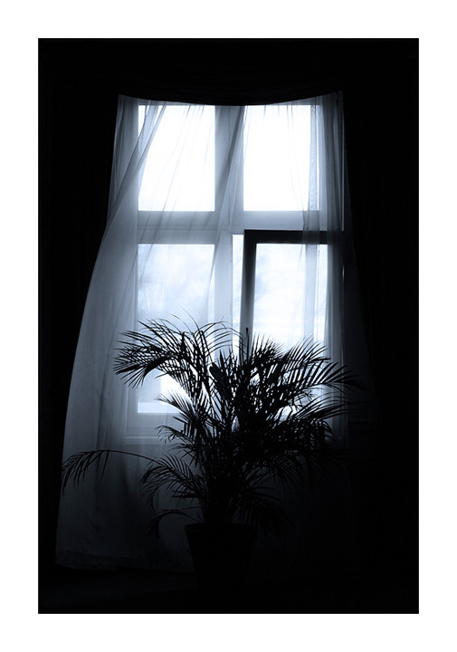 Curtain