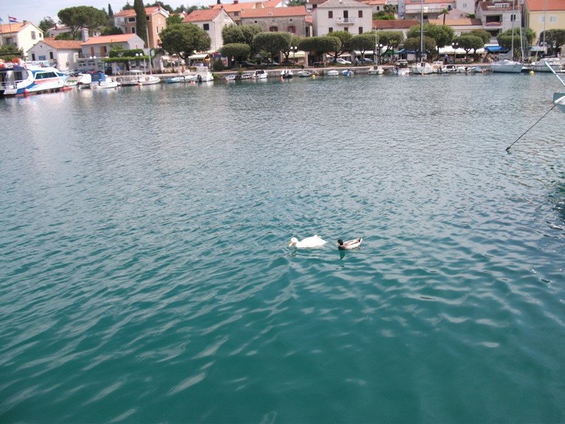 horvát losinj 2011 081