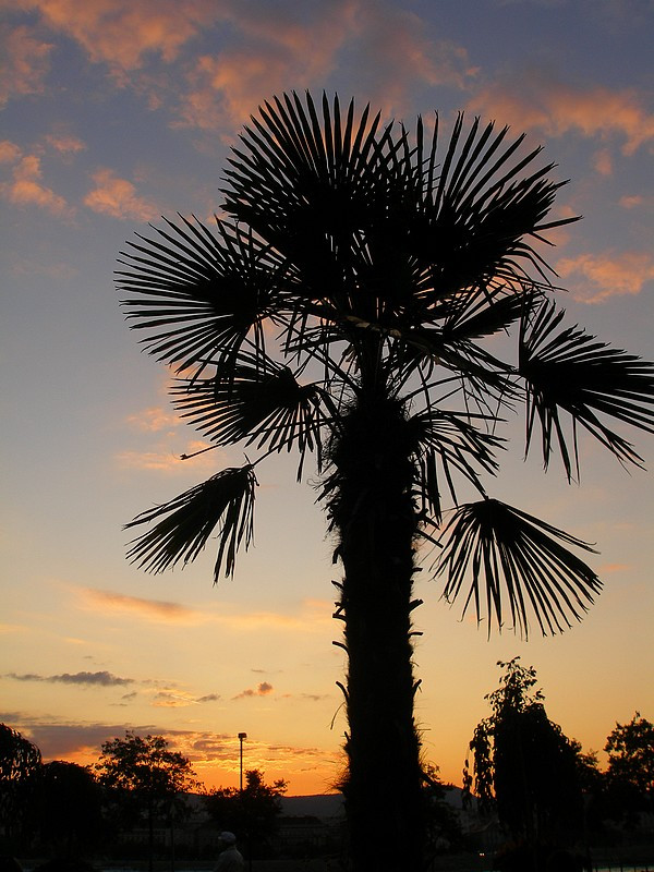 Mediterrán hangulatban