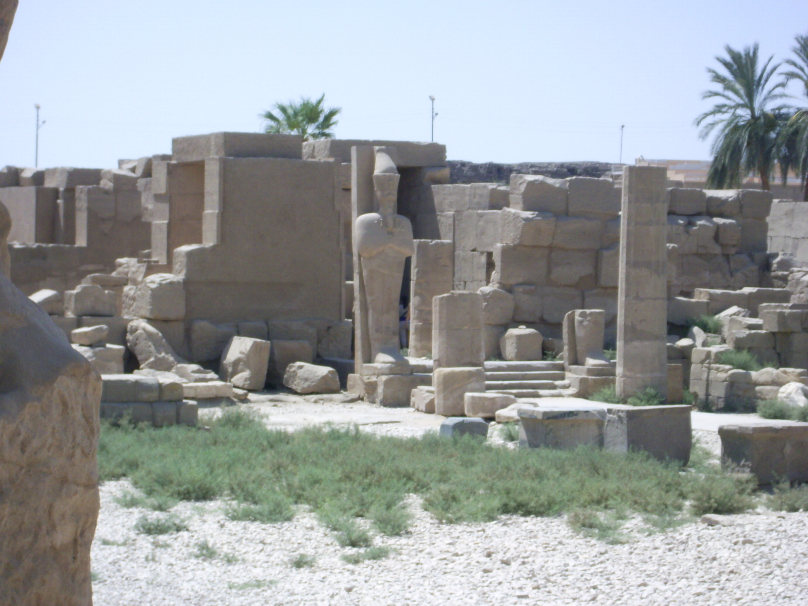 egypt (110)