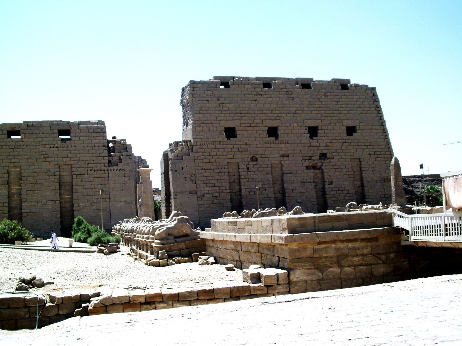 egypt (144)