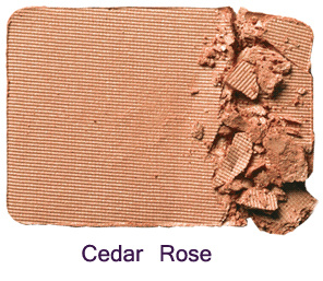 Cedar Rose