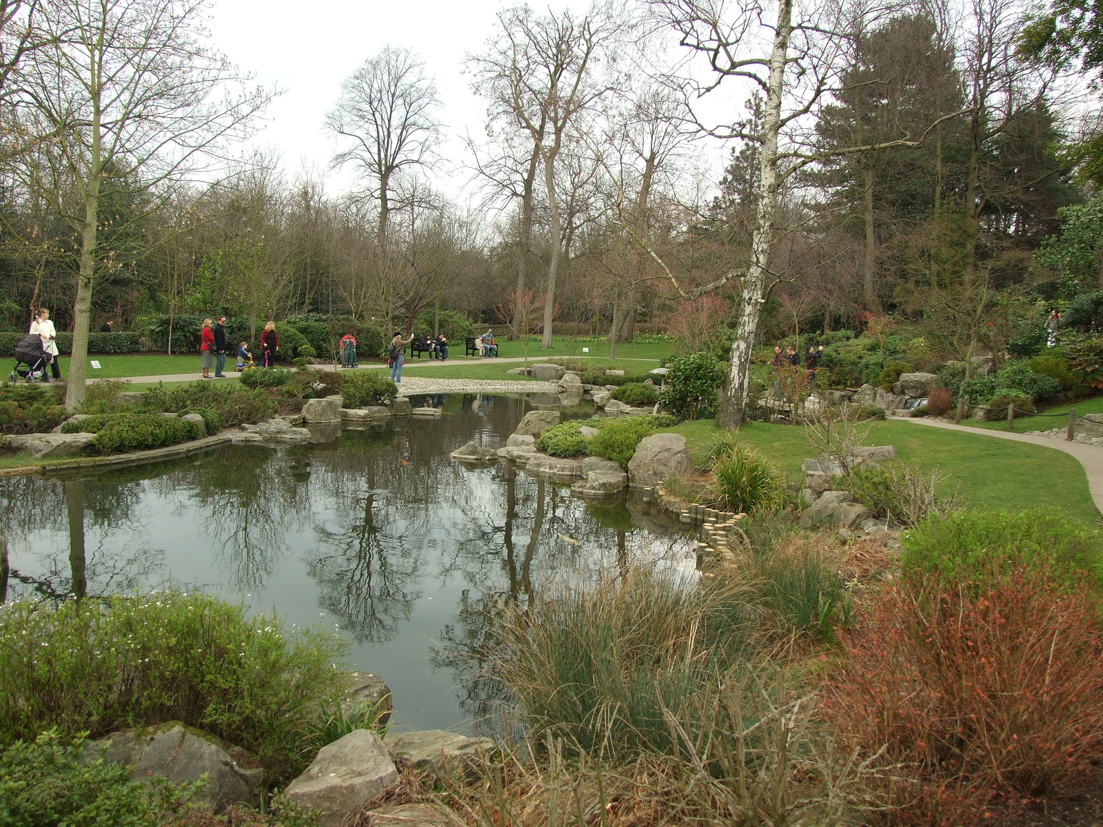 Holland park (2)