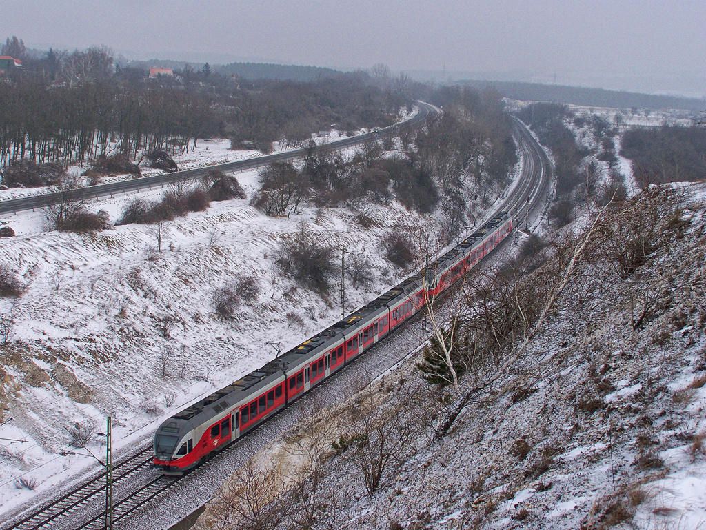 5341 006 - 4 Szár (2010.12.30).