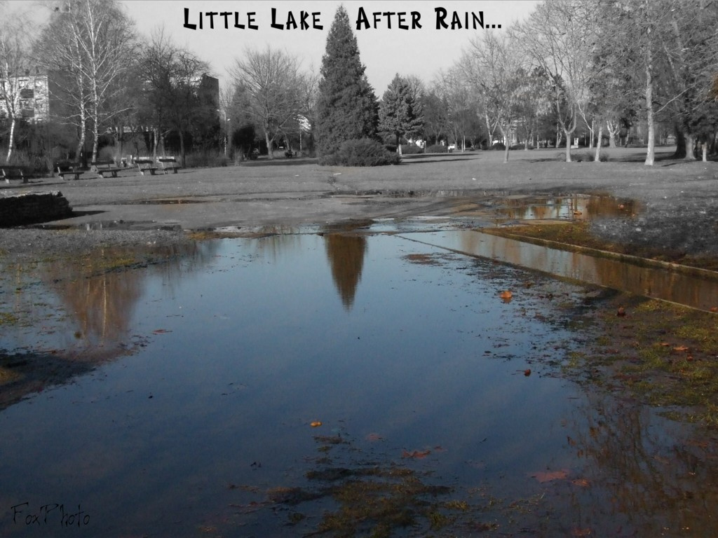 Little Lake After Rain...